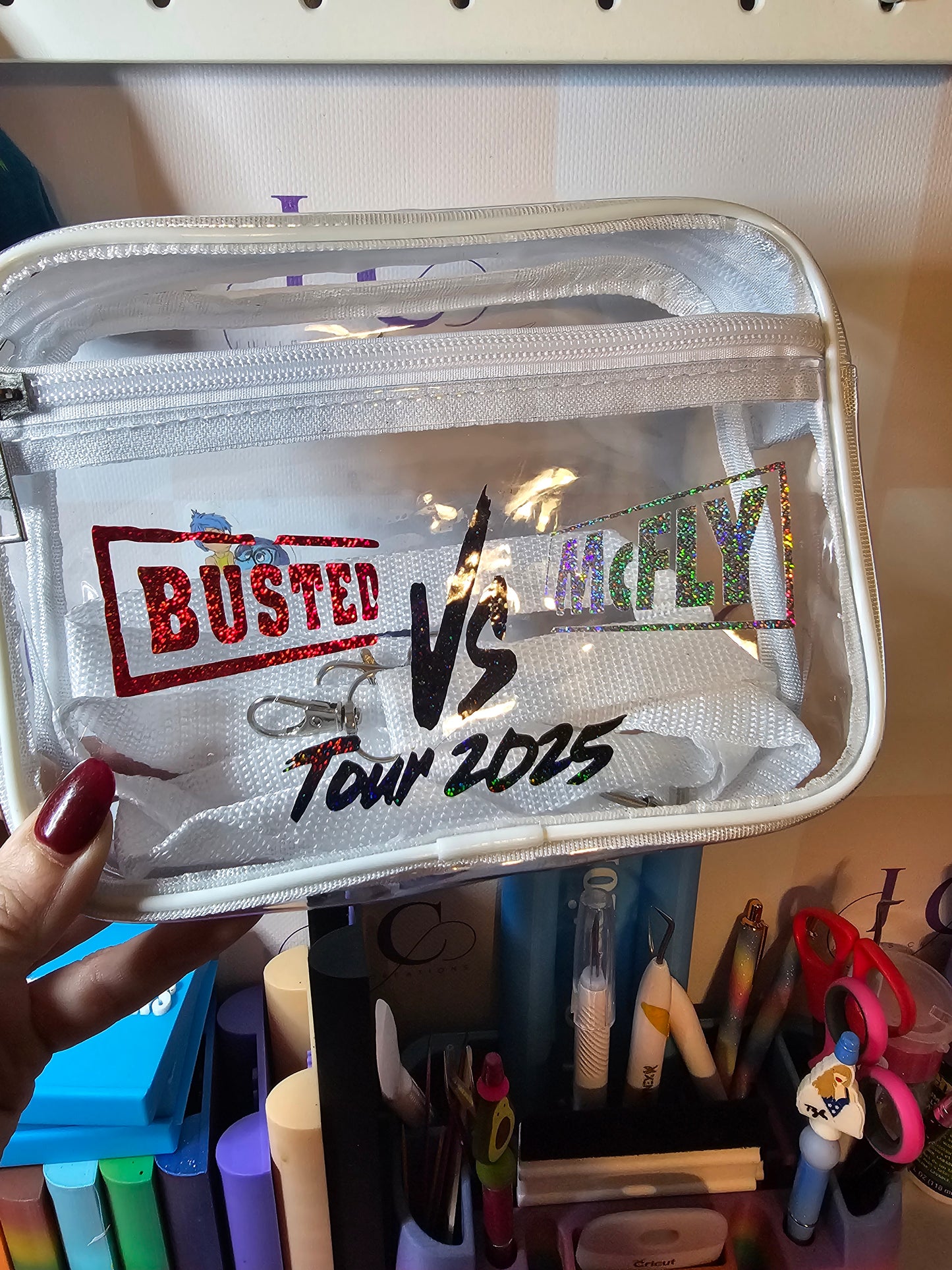 Busted vs mcfly concert bag